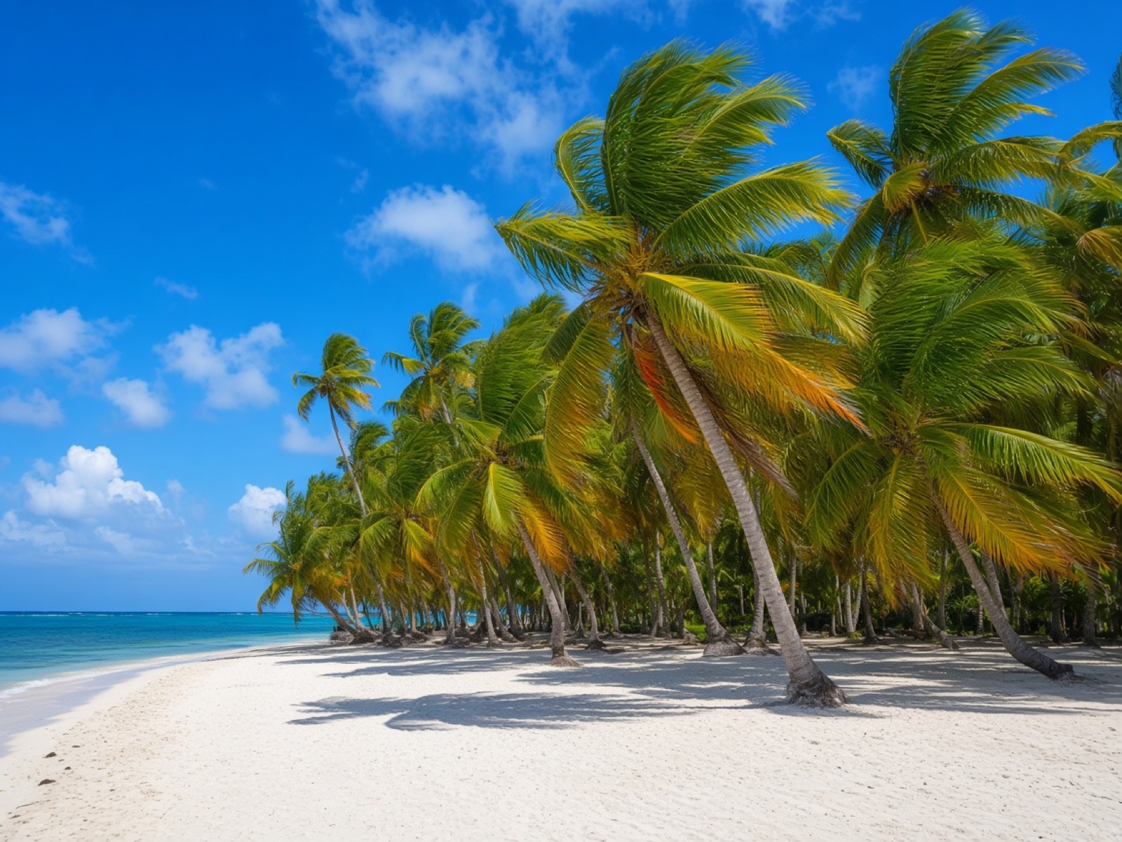 Isla Cayo Limones